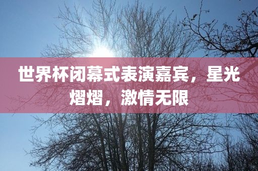 世界杯闭幕式表演嘉宾，星光眉山市正发家政服务有限公司熠熠，激情无限