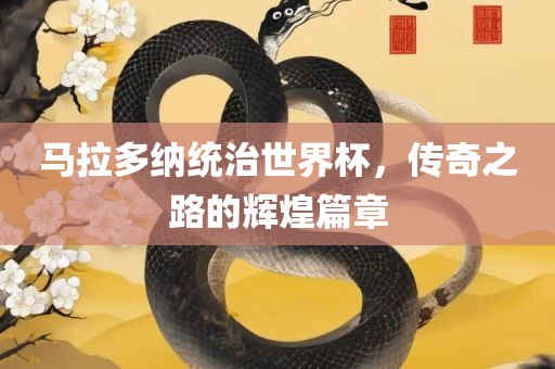 马拉多纳统治世界杯，传奇之路的辉煌篇章