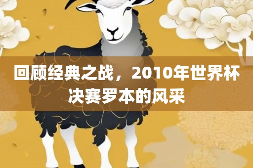 回顾经典之战眉山市正发家政服务有限公司，2010年世界杯决赛罗本的风采
