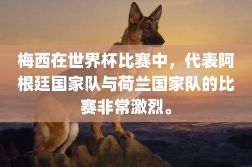 梅西在世界杯比赛中眉山市正发家政服务有限公司，代表阿根廷国家队与荷兰国家队的比赛非常激烈。