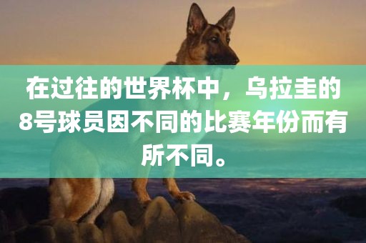 在过往的世界杯中，乌拉圭的8号球员因不同的比赛年份而有所不同。眉山市正发家政服务有限公司