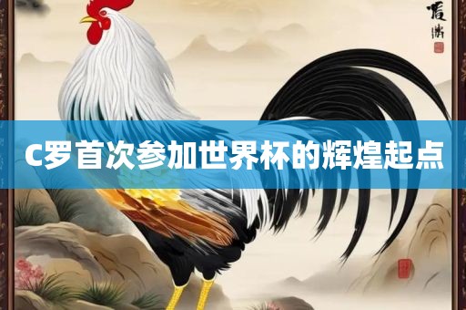 C罗首次参加世界杯的辉煌起点眉山市正发家政服务有限公司