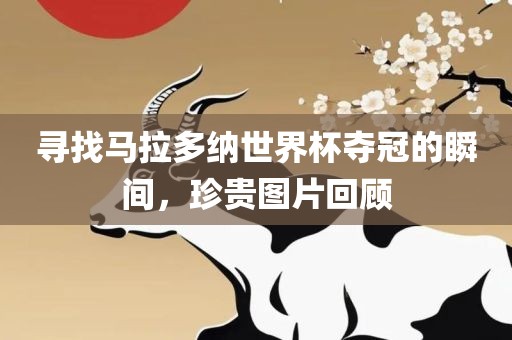 寻找马拉多纳世界杯夺冠的瞬间，珍贵图片回顾眉山市正发家政服务有限公司