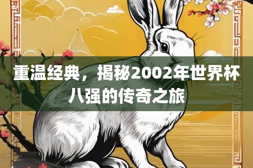 重温经典，揭秘2002年世界杯八强的传奇之旅眉山市正发家政服务有限公司