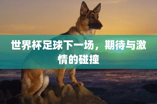 世界杯足球