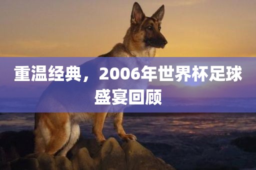 重温经典，2006年世界杯足球盛宴回顾眉山市正发家政服务有限公司