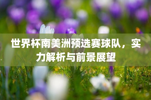世界杯南美洲预选赛球队，实力解析与前景展望眉山市正发家政服务有限公司