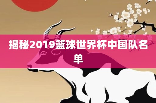 揭秘2019篮球世界杯中国队名单