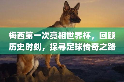 梅西第一次亮相世界杯，回顾历史时刻，探寻足球传奇之路