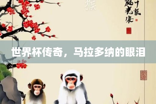 世界杯传奇，马拉多纳的眼泪