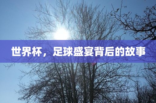 世界杯，足球盛宴背后的故事眉山市正发家政服务有限公司