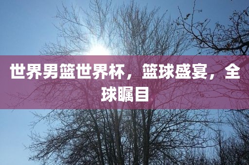 世界男篮世界杯，篮球盛宴，全球瞩目