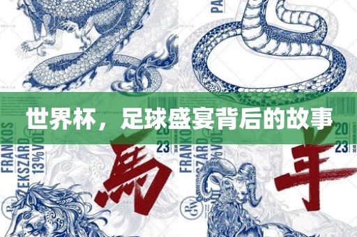 世界杯，足球盛宴背后的故事眉山市正发家政服务有限公司
