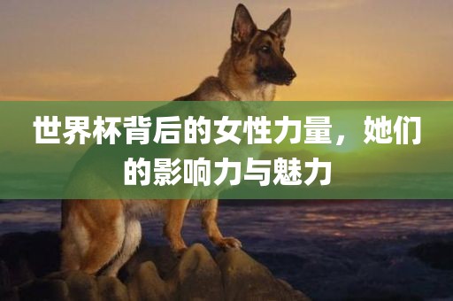 世界杯背后的女性力量，她们的影响力与魅力