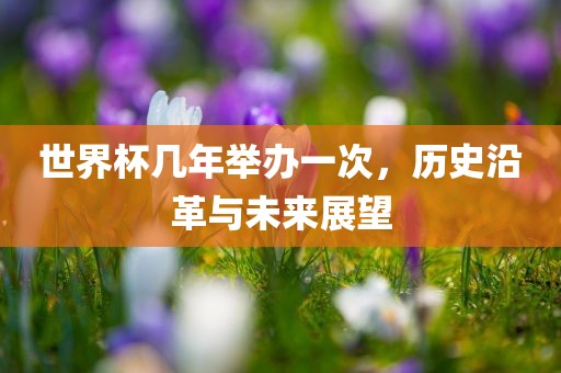 世界杯几年举办一次，历史沿革与未来展望