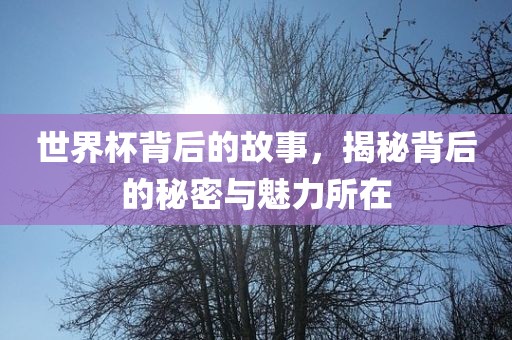 世界杯背后的故事，揭秘背后的秘密与魅力所在