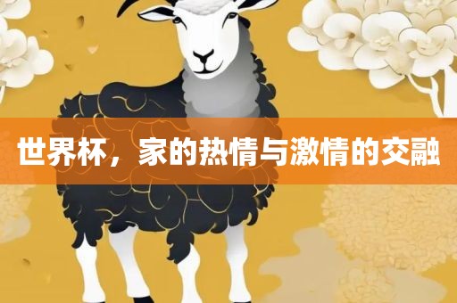 世界杯，家的热情与激情的交融