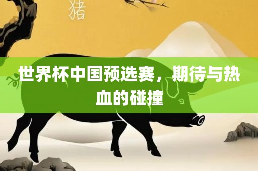 世界杯中国预选赛，期待与热血的碰撞