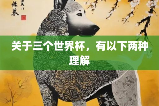 关于三个世界杯，有以下两种理解