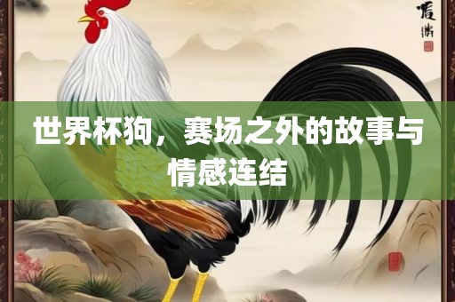 世界杯狗，赛场之外的故事与情感连结