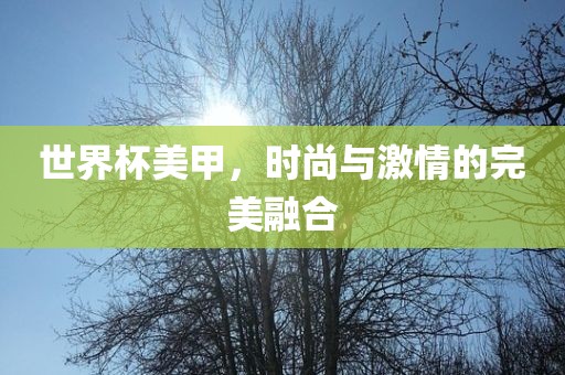 世界杯美甲，时尚与激情的完美融合