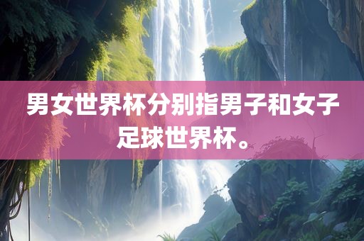 男女世界杯分别指男子和女子足球世界杯。
