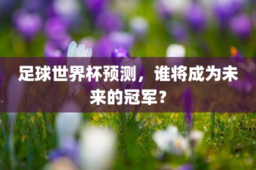 足球世界杯预测，谁将成为未来的冠军？