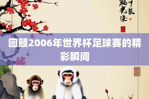 回顾2006年世界杯足球赛的精彩瞬间