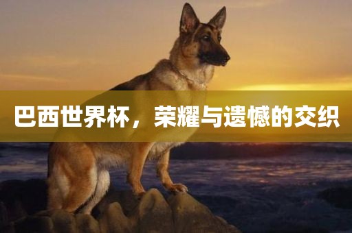 巴西世界杯，荣耀与遗憾的交织