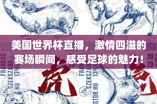 美国世界杯直播，激情四溢的赛场瞬间，感受足球的魅力！