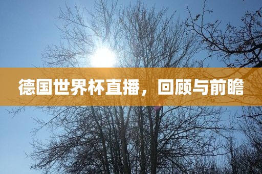 德国世界杯直播，回顾与前瞻