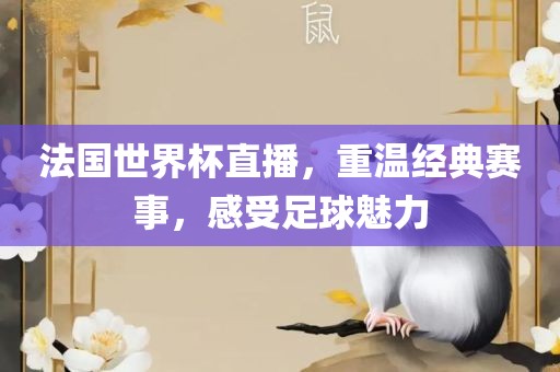 法国世界杯直播，重温经典赛事，感受足球魅力