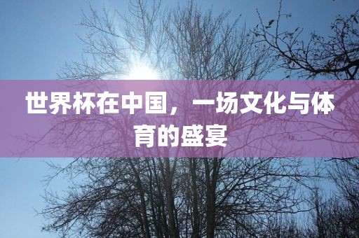 世界杯在中国，一场文化与体育的盛宴