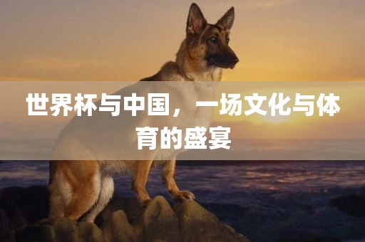 世界杯与中国，一场文化与体育的盛宴