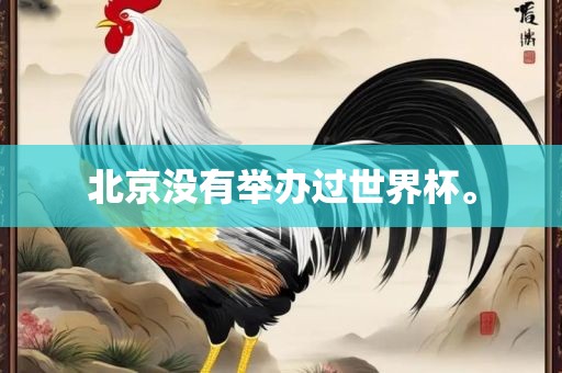北京没有举办过世界杯。眉山市正发家政服务有限公司