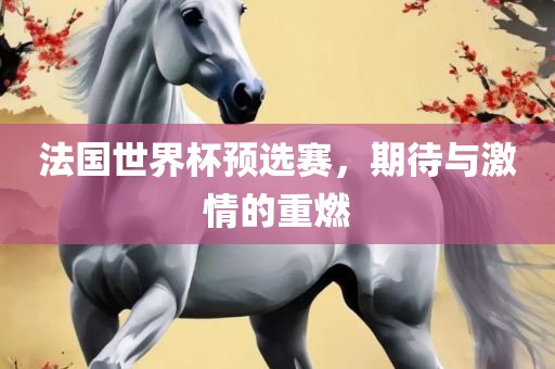 法国世界杯预选赛，期待与激情的重燃