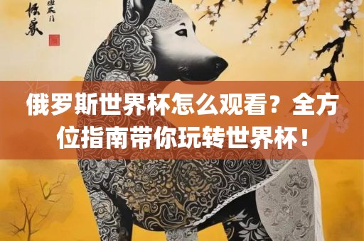 俄罗斯世界杯怎么观看？全方位指南带你玩转世界杯！