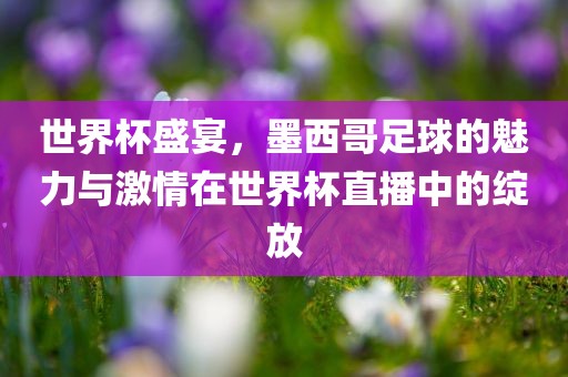 世界杯盛宴，墨西哥足球的魅力与激情在世界杯直播中的绽放
