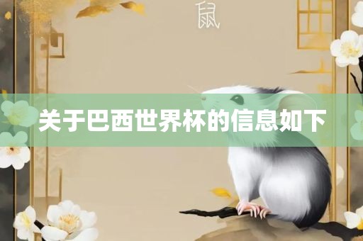 关于巴西世界杯的信息如下
