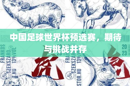 中国足球世界杯预选赛，期待与挑战并存