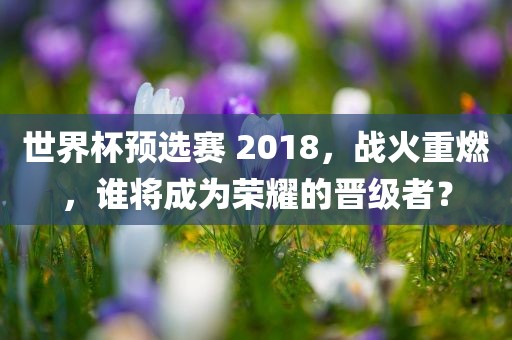 世界杯预选赛 2018，战火重燃，谁将成为荣耀的晋级者？