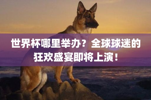 世界杯哪里举办？全球球迷的狂欢盛宴即将上演！
