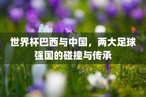 世界杯巴西与中国，两大足球强国的碰撞与传承