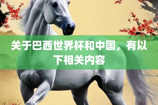 关于巴西世界杯和中国，有以下相关内容