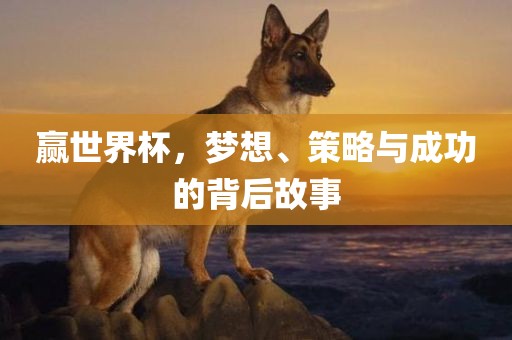 赢世界杯，梦想、策略与成功的背后故事