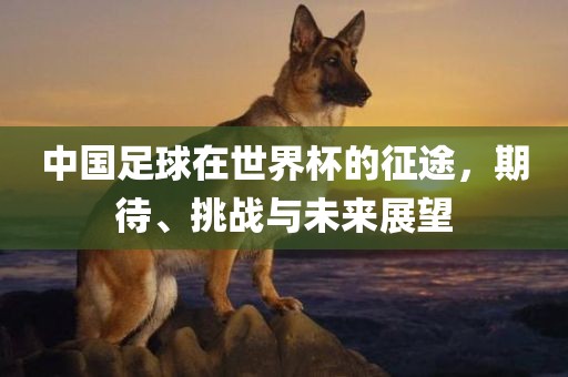中国足球在世界杯的征途，期待、挑战与未来展望