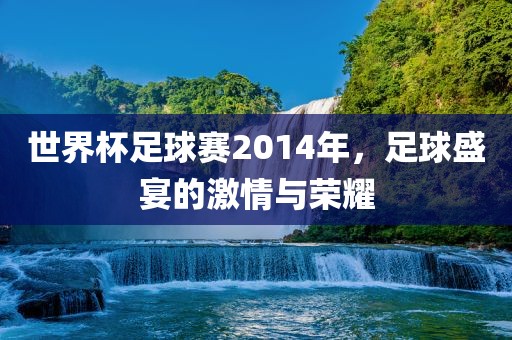 世界杯足球赛2014年，足球盛宴的激情与荣耀