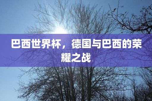 巴西世界杯，德国与巴西的荣耀之战