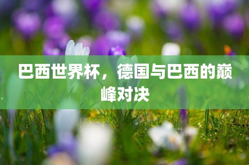 巴西世界杯，德国与巴西的巅峰对决