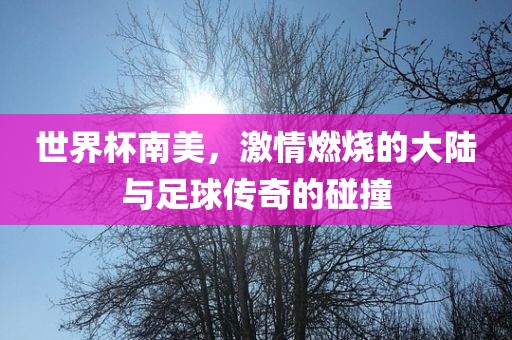 世界杯南美，激情燃烧的大陆与足球传奇的碰撞